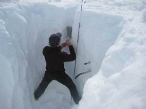Promice scientist measuring snow density in a snow pit in southern Greenland 