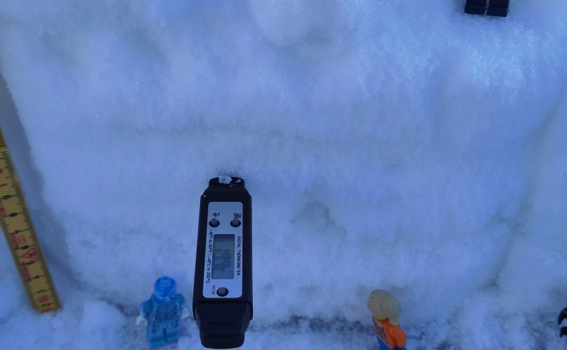 Celebration time: PRECISE