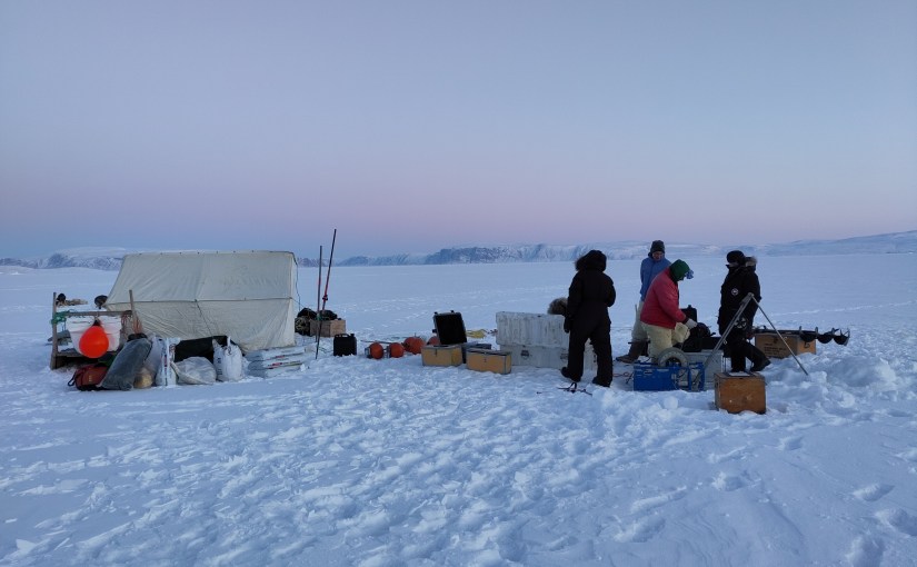 Building the Next Generation…